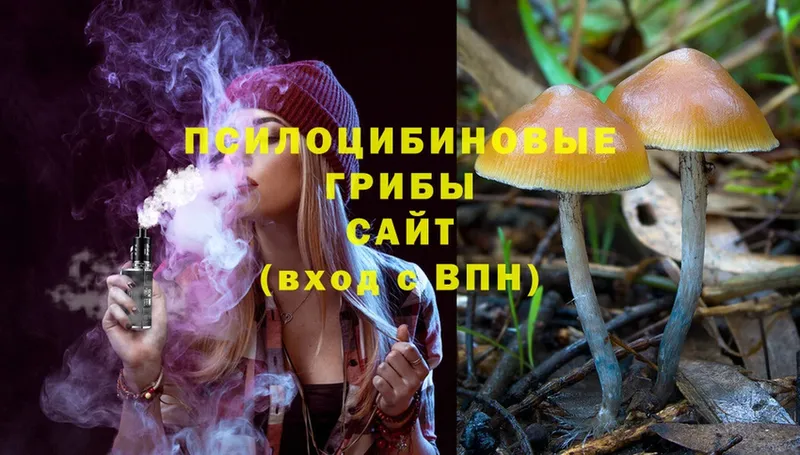 Псилоцибиновые грибы Magic Shrooms  Ачинск 